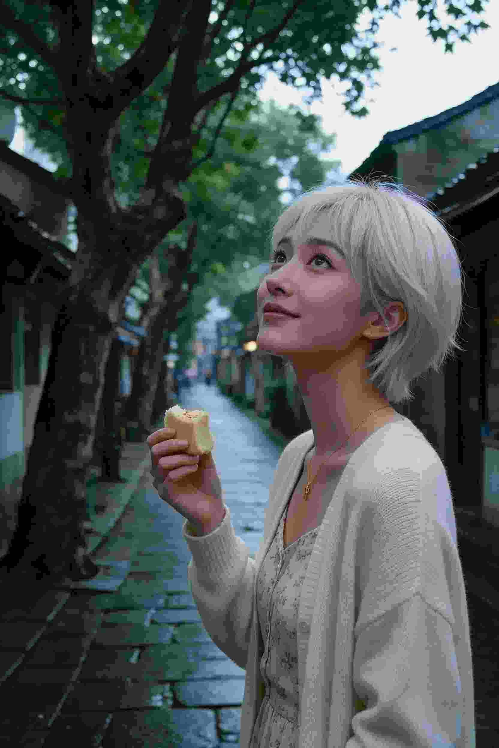 网剧作品